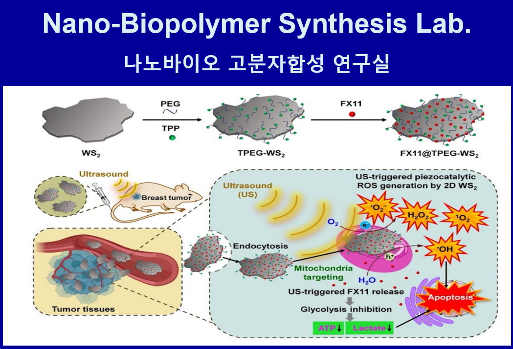 [Natural Sciences] Nano-Biopolymer Synthesis Lab. 대표이미지